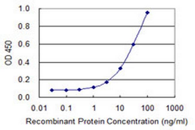 CLIP3 Antibody in ELISA (ELISA)