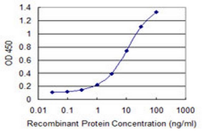 GNL3 Antibody in ELISA (ELISA)