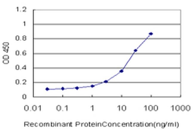 HEYL Antibody in ELISA (ELISA)