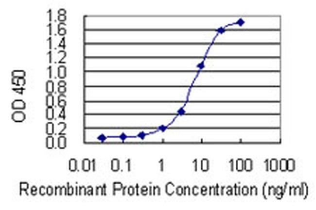 FOXP1 Antibody in ELISA (ELISA)