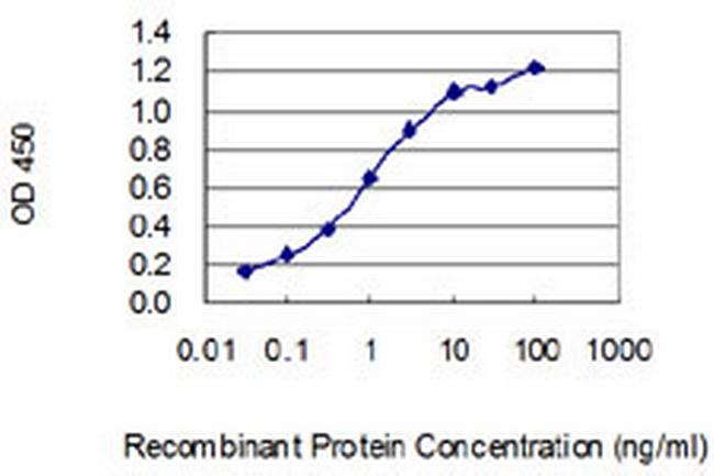 SHANK1 Antibody in ELISA (ELISA)