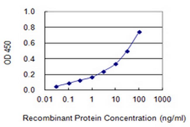 MLXIPL Antibody in ELISA (ELISA)