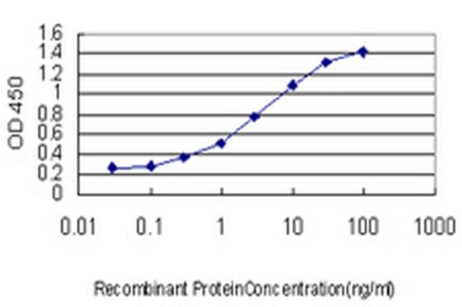 LEF1 Antibody in ELISA (ELISA)