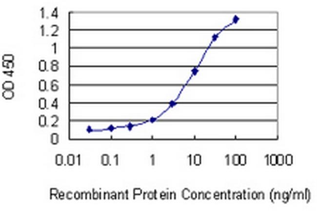 NAT8B Antibody in ELISA (ELISA)