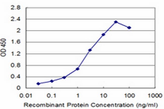 SLC6A20 Antibody in ELISA (ELISA)