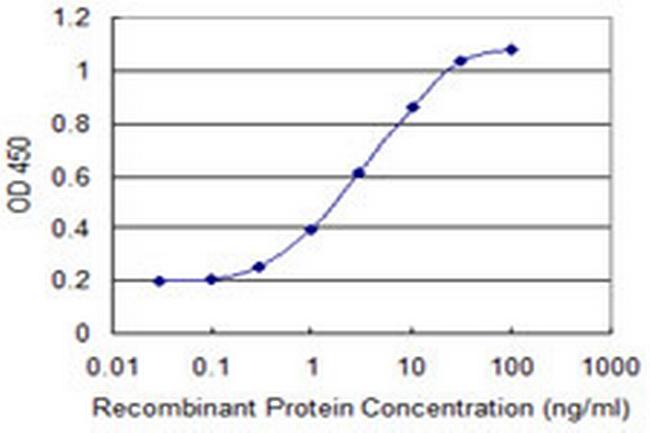 MAP1S Antibody in ELISA (ELISA)