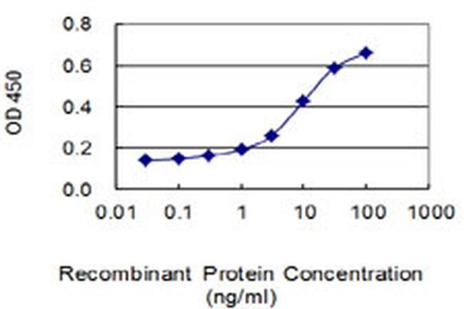 BMP2K Antibody in ELISA (ELISA)