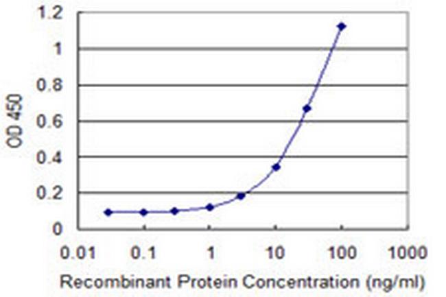 KIF16B Antibody in ELISA (ELISA)