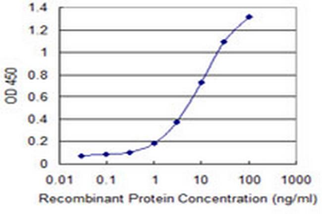 POLR3B Antibody in ELISA (ELISA)