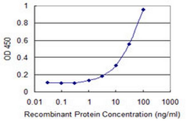 LHX9 Antibody in ELISA (ELISA)