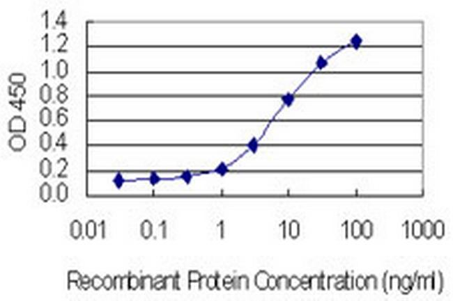 KIF17 Antibody in ELISA (ELISA)