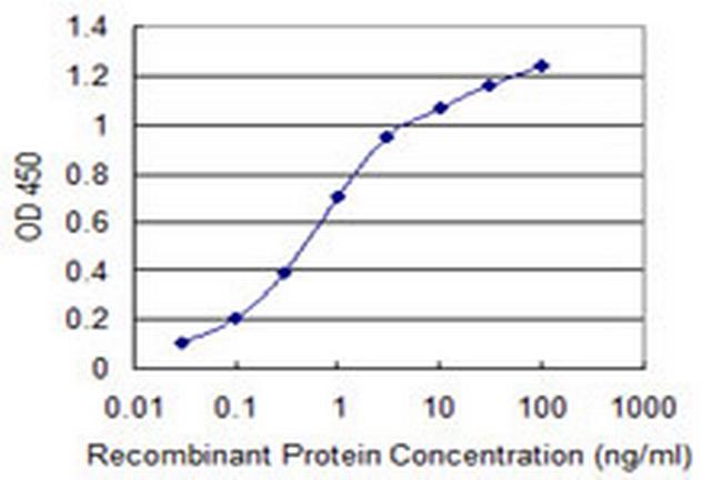 WNK4 Antibody in ELISA (ELISA)