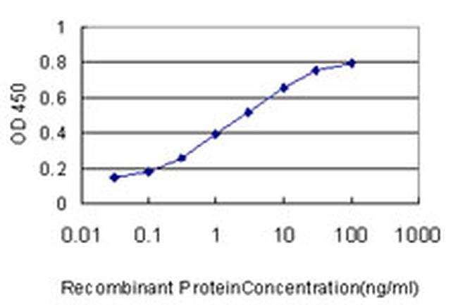 WNK3 Antibody in ELISA (ELISA)