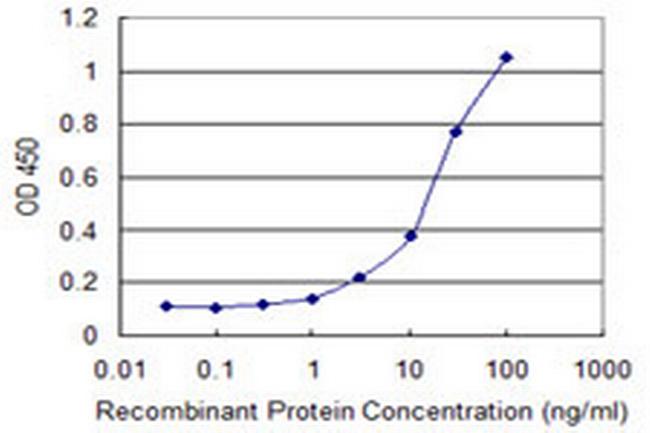 DBF4B Antibody in ELISA (ELISA)