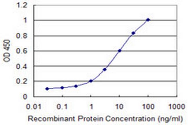 OPA3 Antibody in ELISA (ELISA)