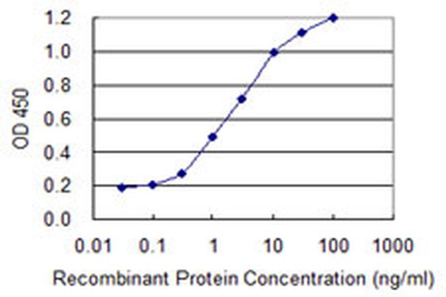 PPP1R1B Antibody in ELISA (ELISA)