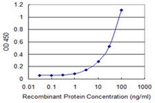 MAFA Antibody in ELISA (ELISA)