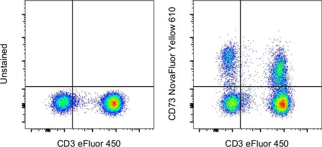 CD73 Antibody in Flow Cytometry (Flow)