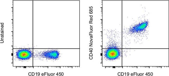 CD40 Antibody in Flow Cytometry (Flow)