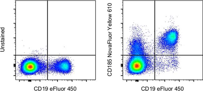 CD185 (CXCR5) Antibody in Flow Cytometry (Flow)