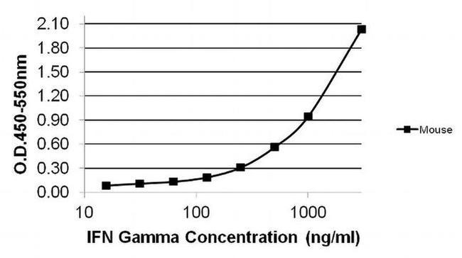 IFN gamma Antibody in ELISA (ELISA)