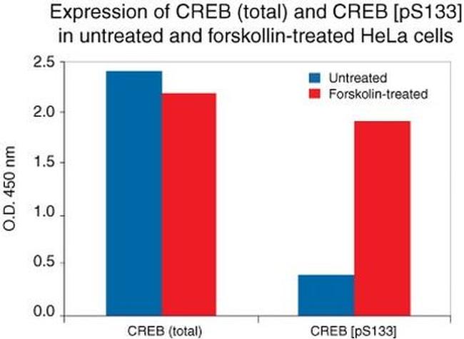 Human CREB (Phospho) [pS133] ELISA Kit