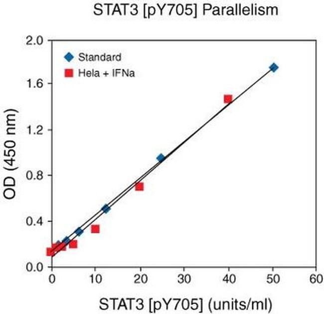 Multispecies STAT3 (Phospho) [pY705] ELISA Kit