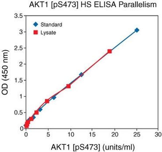 Human AKT1 (Phospho) [pS473] ELISA Kit, Ultrasensitive