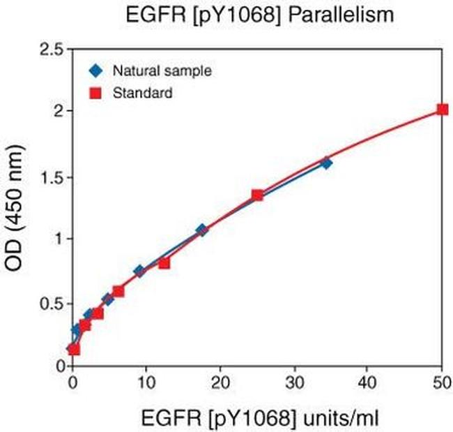 Human EGFR (Phospho) [pY1068] ELISA Kit