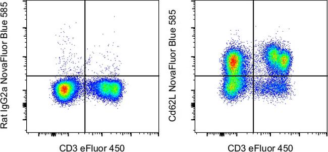 CD62L (L-Selectin) Antibody in Flow Cytometry (Flow)