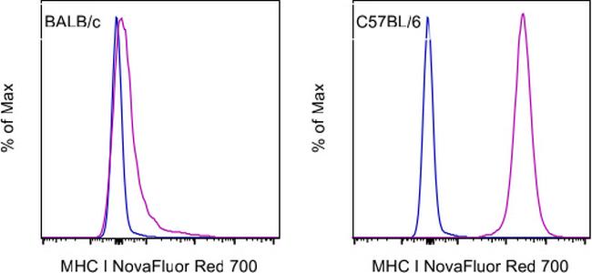 MHC Class I (H-2Kb) Antibody in Flow Cytometry (Flow)