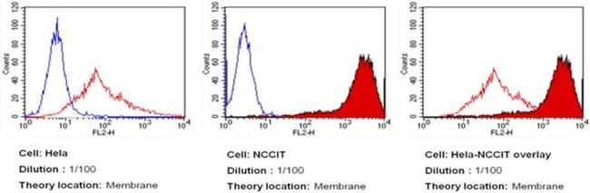 SSEA4 Antibody in Flow Cytometry (Flow)