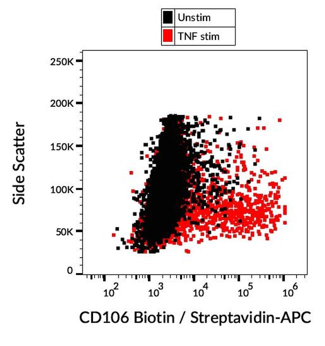 VCAM-1 Antibody in Flow Cytometry (Flow)