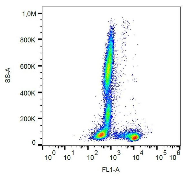 CD27 Antibody in Flow Cytometry (Flow)