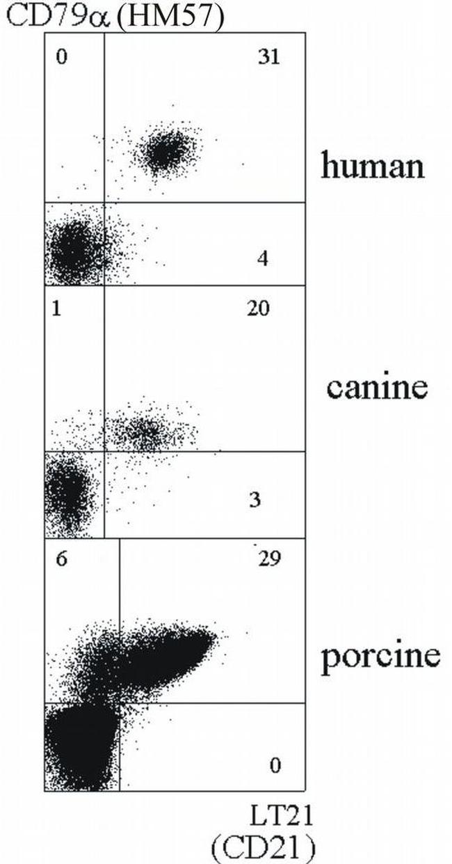 CD21 Antibody in Flow Cytometry (Flow)