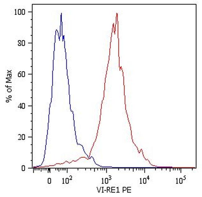 Vimentin Antibody in Flow Cytometry (Flow)