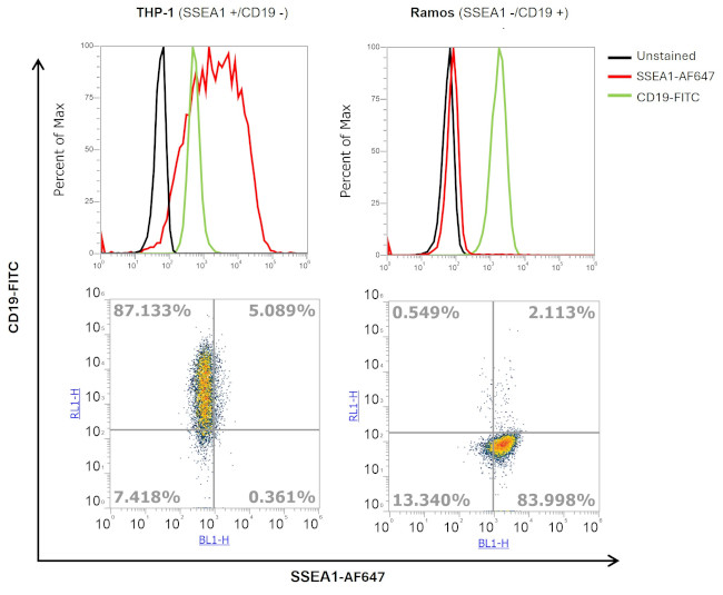 SSEA1 Antibody in Flow Cytometry (Flow)