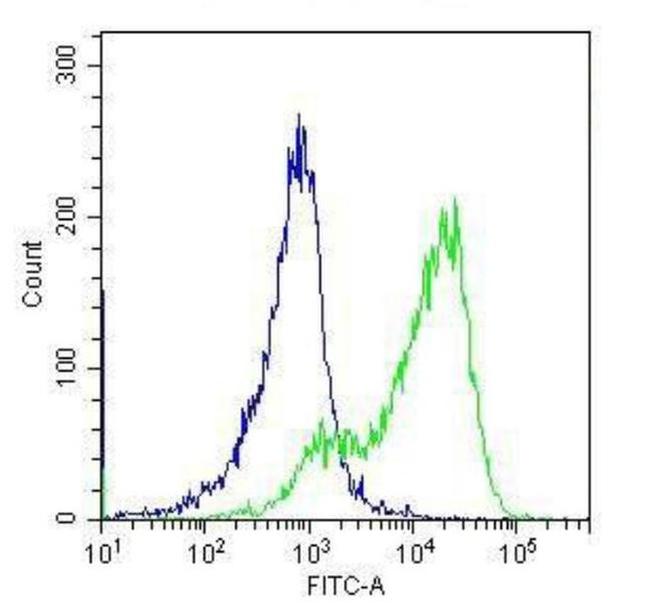 TLR4 Antibody in Flow Cytometry (Flow)