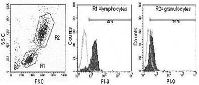 SERPINB9 Antibody in Flow Cytometry (Flow)