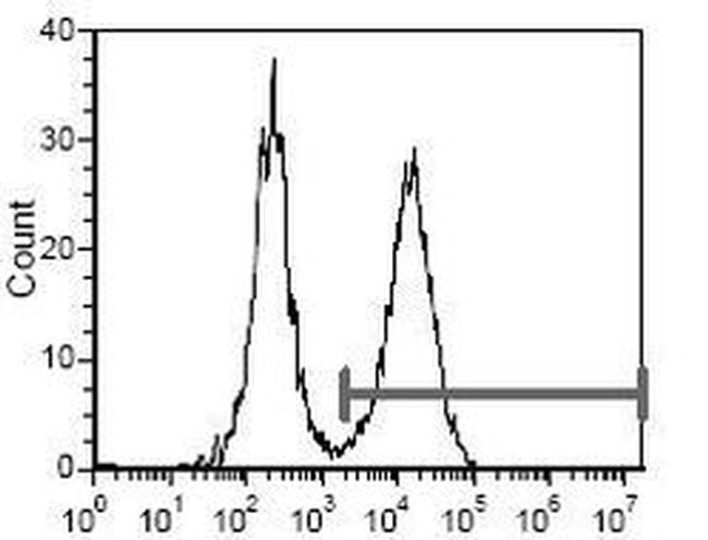 I-Ad Antibody in Flow Cytometry (Flow)