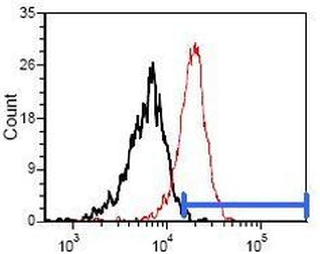 OX40 Antibody in Flow Cytometry (Flow)