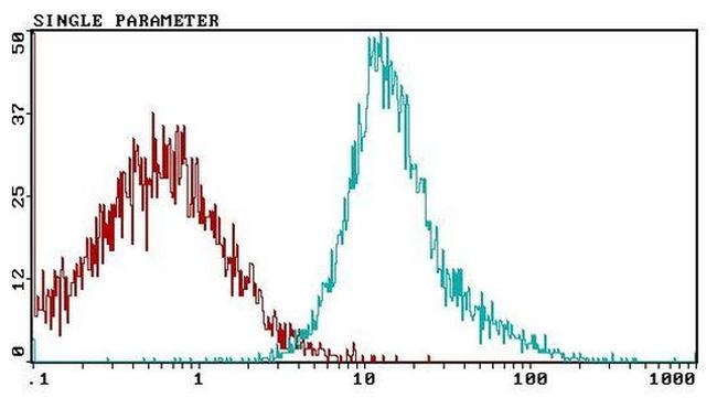 CD81 Antibody in Flow Cytometry (Flow)