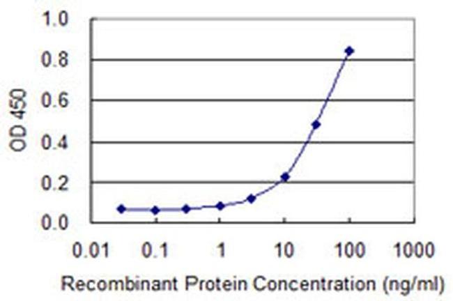 alpha Amylase 2B Antibody in ELISA (ELISA)