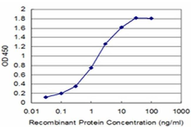 ATP7B Antibody in ELISA (ELISA)