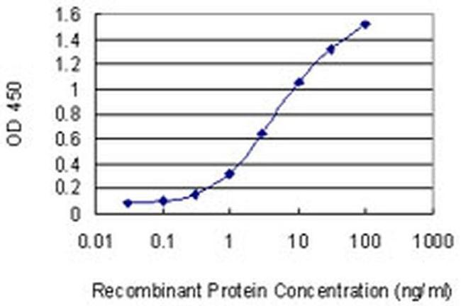 HIP2 Antibody in ELISA (ELISA)