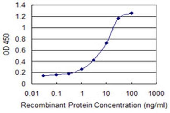 NUBP1 Antibody in ELISA (ELISA)