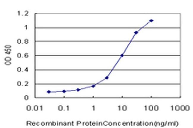 NHP2L1 Antibody in ELISA (ELISA)