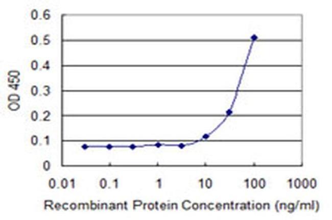 RECQ1 Antibody in ELISA (ELISA)