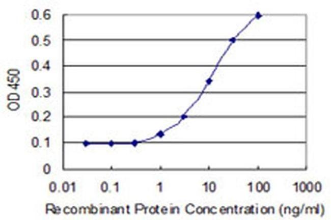 BLZF1 Antibody in ELISA (ELISA)