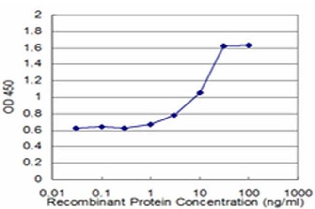 HESX1 Antibody in ELISA (ELISA)